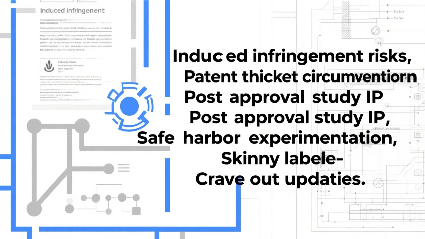 Pharmaceutical Patent Litigation